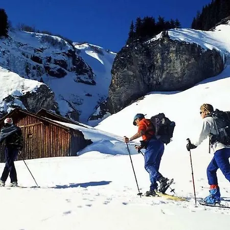 Les Aiguilles De Warens